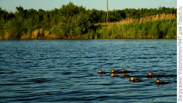 и мамки что то долго нет.