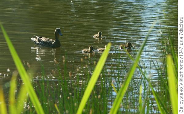 НА ПЕРВОМ МЕСТЕ