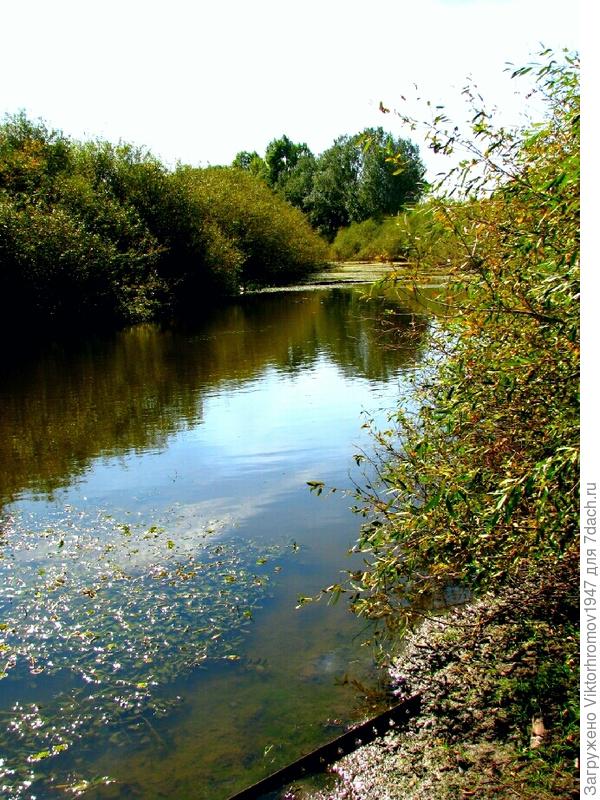 ох и Линь ловиться.