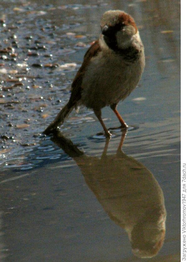 Оказывается Я красивая!