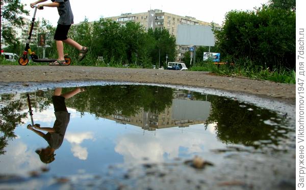 Весёлая лужа...