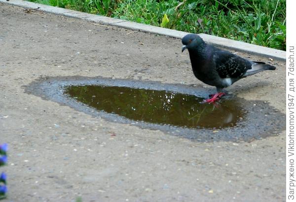 ФОТОГРАФИРОВАЛ