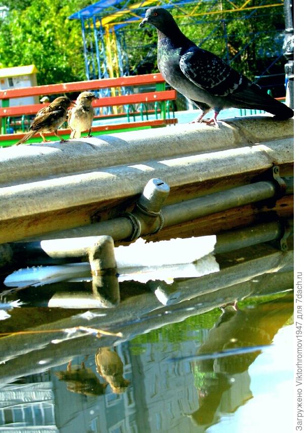 Глубоко! Утонуть можно...