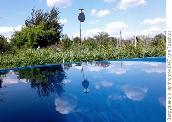 Дачный барометр.