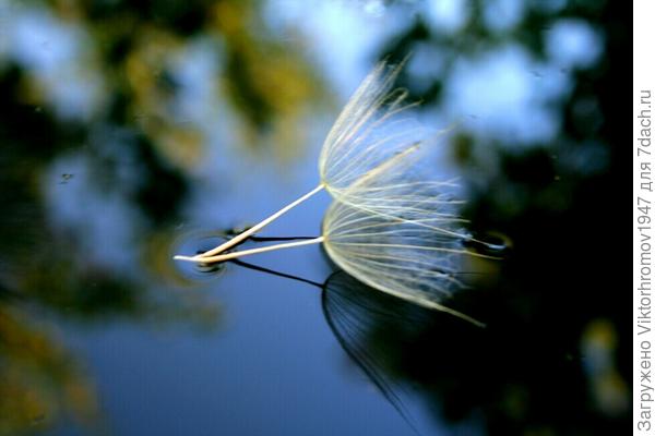 Будем ВМЕСТЕ мы всегда!