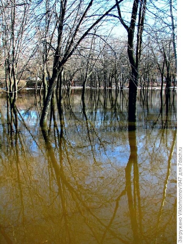 После весеннего таяния снега...