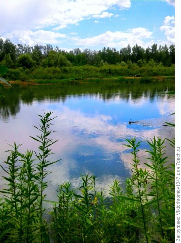 Прохладная тишина...