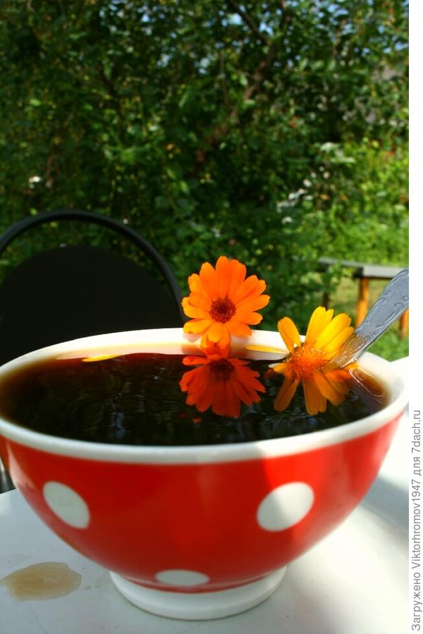 Календула не для красоты, а для здоровья...