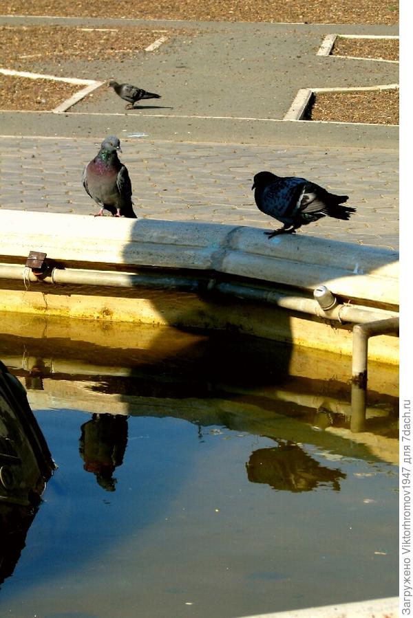 ДОЖДАЛСЯ! Прилетела...