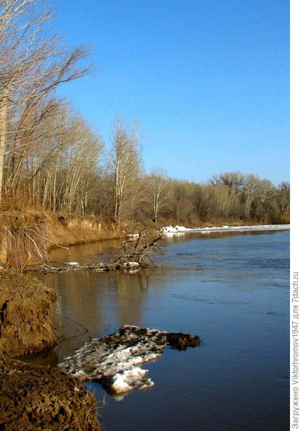 После ледохода. Последняя льдина...