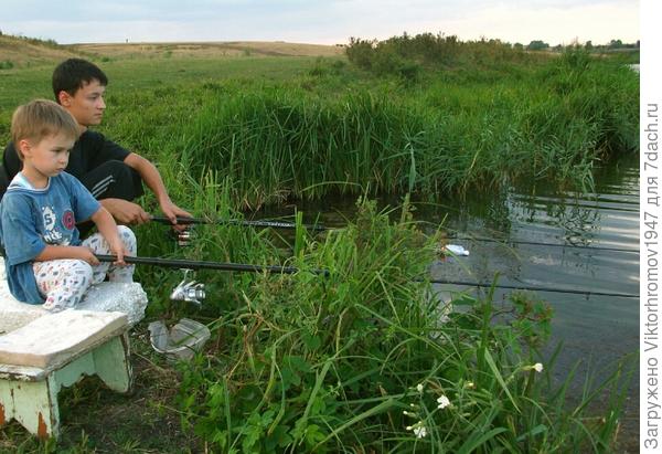 Третий стульчик мой...