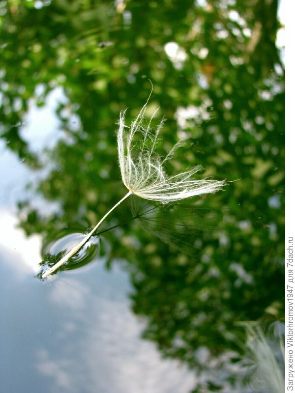 Хорошо приводнилась.