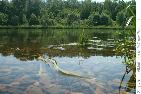 у нас в Урале такая чистая. Вот!