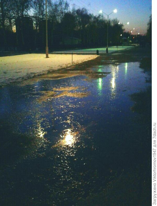 Приятно прогуляться по аллеям парка!