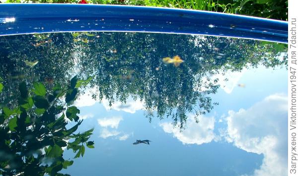 он так ОТРАЗИЛСЯ в БОЧКЕ.