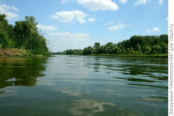 МОЩЬ ПРИРОДЫ