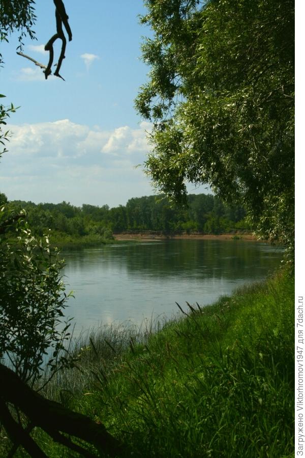 Впадает в Урал.