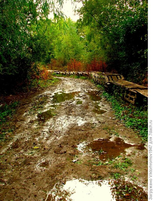 &quot;Голь на выдумки хитра&quot;(не нужные поддоны) и дачники тут же назвали дорогу БРОДВЕЙ...