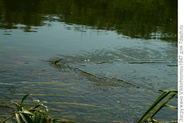 Стремнина...