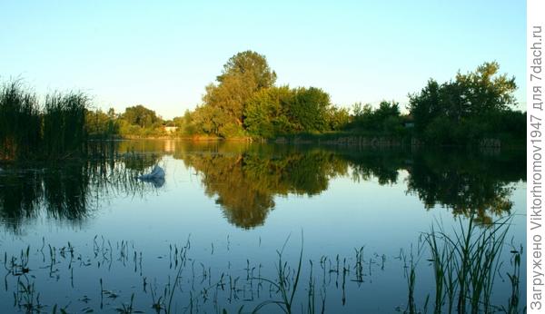 Полнейший штиль.
