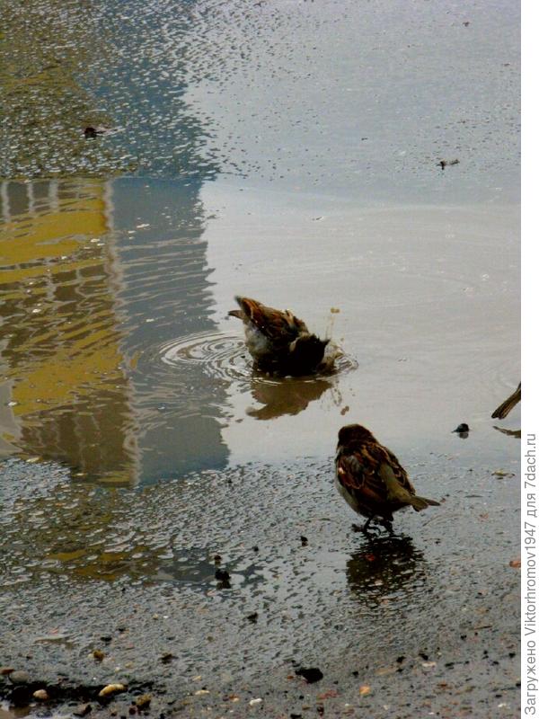 Моя очередь.