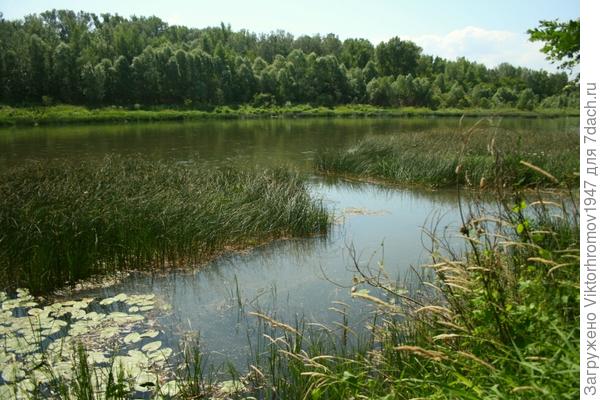 Заповедное место на Урале.
