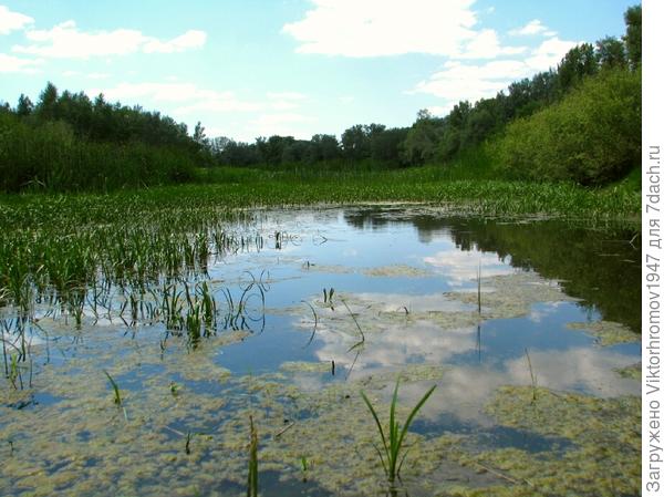 Название говорит за себя.