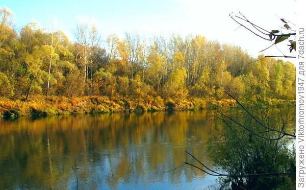 Золотая осень