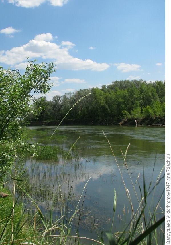 Рыбка разная клюёт.