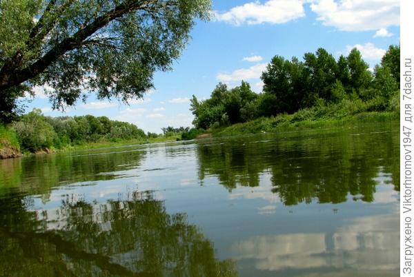 Но оно "падает"третий год.