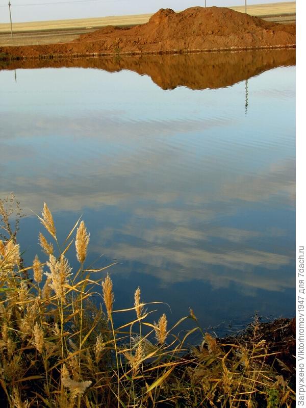 Камыша нет, но много мелких карасиков.