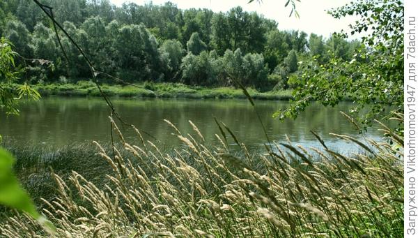 Весной и поздней осенью, встречают и провожают перелётных водоплавающих птиц.