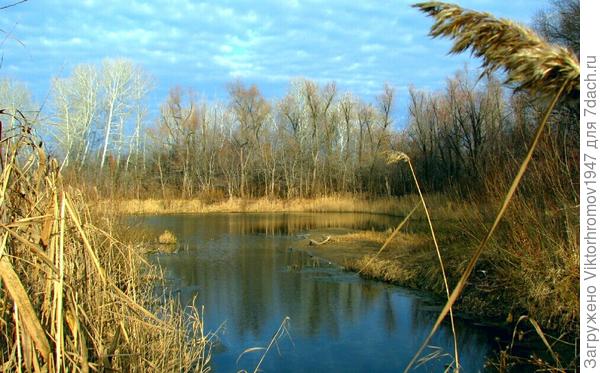 Щучьи места...