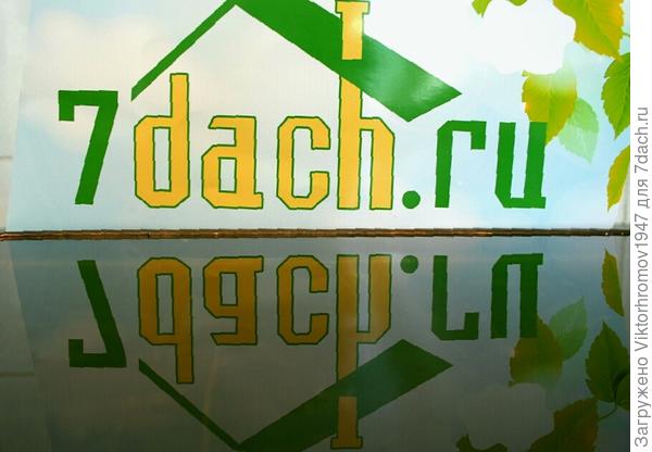 Красивое отражение.