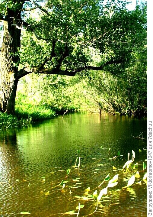 Утренняя рябь на воде.