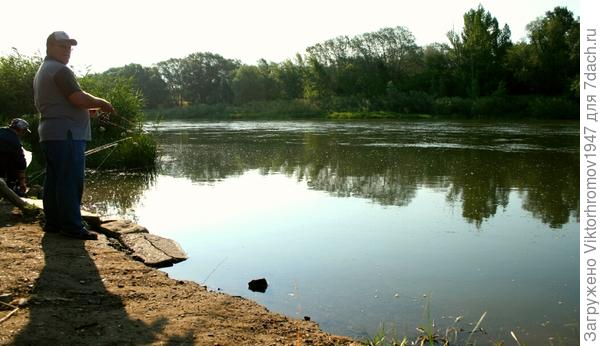 Утро на речке