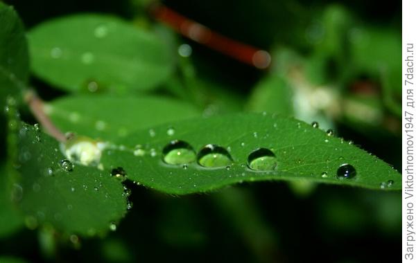 Своё отражение...