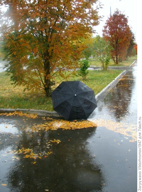 Осенний сюжет...