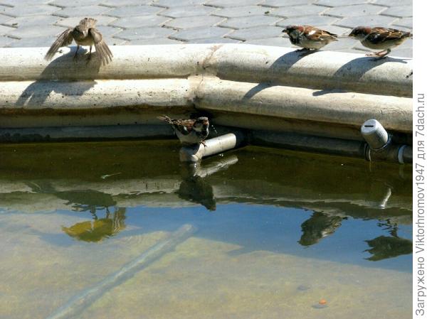 Пить хочется...