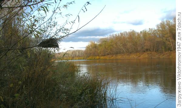 Такой подъём воды был в паводок...