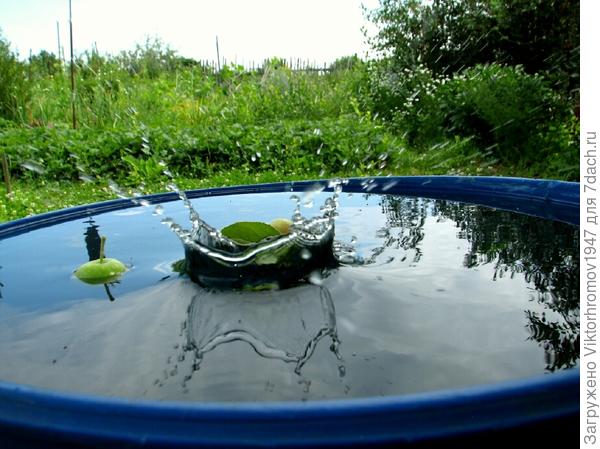 Яблочко упало в ёмкость...