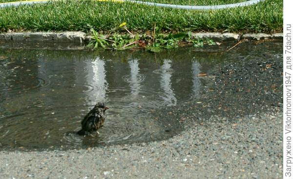 Не много замёрз.