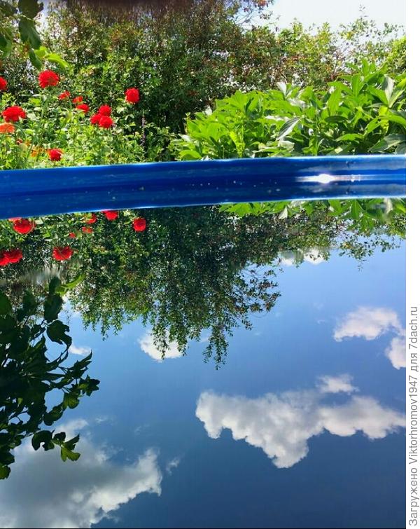 Какое небо голубое!