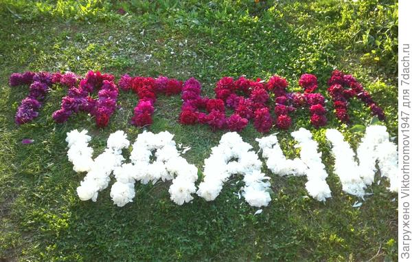 Проснулся чуть свет! Что бы сказать лучшие слова на свете... Оказалось что уже ВСЁ СКАЗАНО!!! Видите мы ВАС ЛЮБИМ!!!