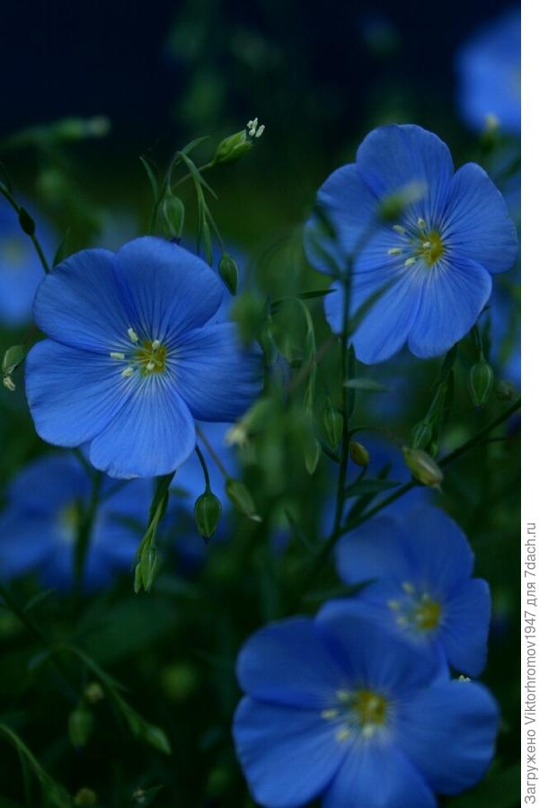 Желаю исполнения всех Ваших желаний!