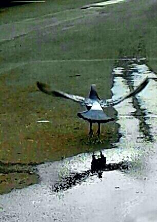 ВЗЛЁТ РАЗРЕШЁН...