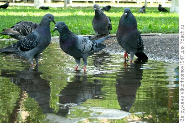 Ревнует што ли...