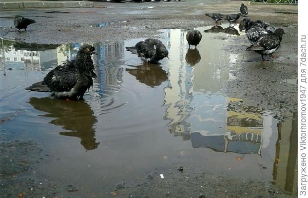 Я ИСКУПАЛСЯ...