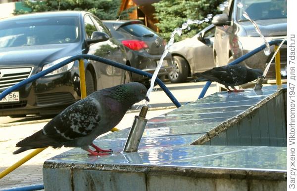 ЖИЗНЬ  ВСЕМУ  НАУЧИТ