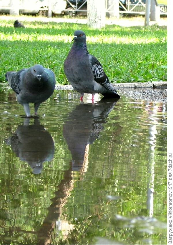 Море Любви...